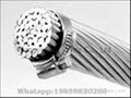 All Aluminum Conductor (AAC)