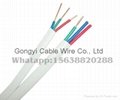 BV Sheathed Wire