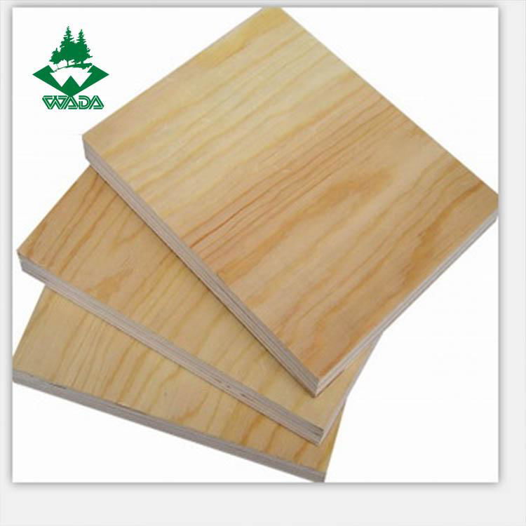 Pine plywood 2