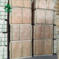 cheapest packing poplar lvl wood pallet elements China 4