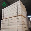 cheap price 2x4 lumber lvl pallet timber China 3