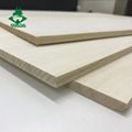 E0/E1 paulownia edge glued panel wood