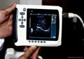 dog /cow ultrasound Vet Handheld