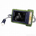 Palm Design Full Digital Vet Ultrasound