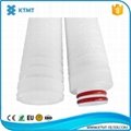 Hydrophilic PES pleated filter cartridge