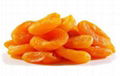 APRICOT 1