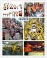 廣東工業機器人-沖壓機械手-芬隆科技 3