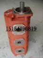 中联泵车CBGJ2080/2080液压齿轮泵 5