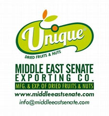 Middle East Senate Co.