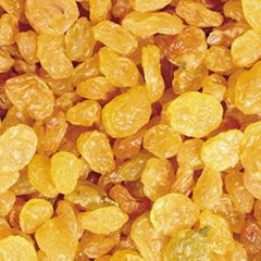 Golden Raisin