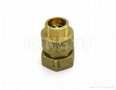 Brass check valve