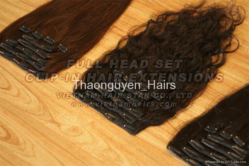 Clip-in/Ponytail Human Hair Extension