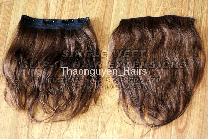 Clip-in/Ponytail Human Hair Extension 3