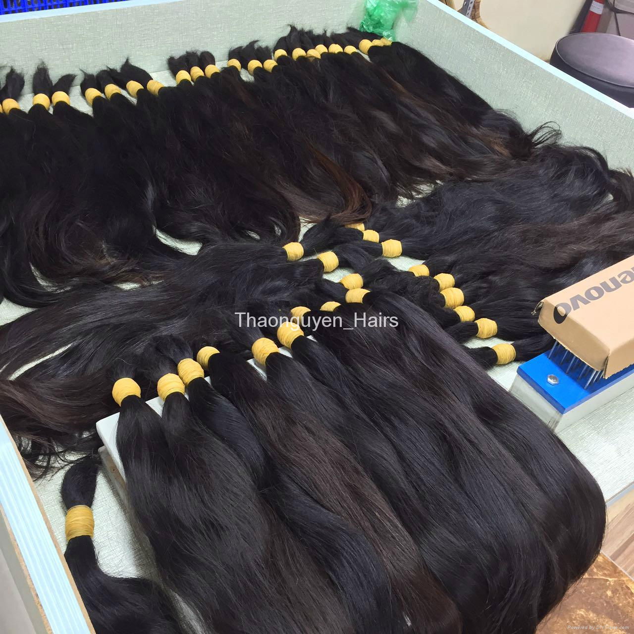 Virgin Vietnamese Raw Hair Unprocessed