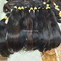 Virgin Vietnamese Raw Hair Unprocessed 3