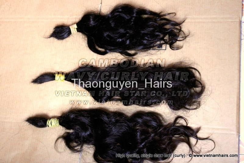 Curly Natural Cambodian hair 2