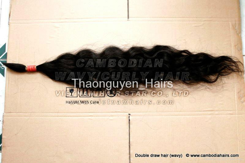 Curly Natural Cambodian hair