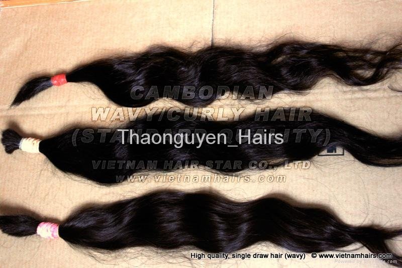 Curly Natural Cambodian hair 3