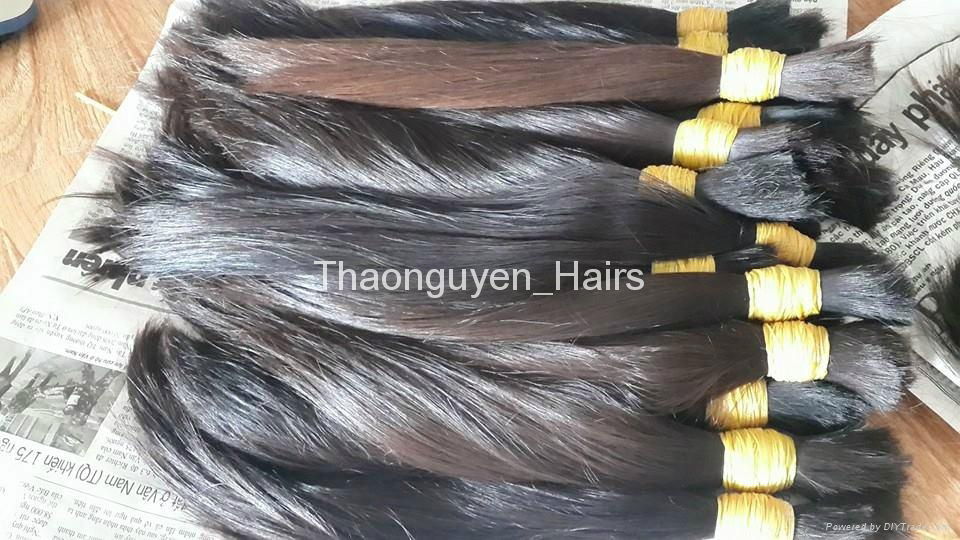 Remy bulk Vietnamese hair best selling 2