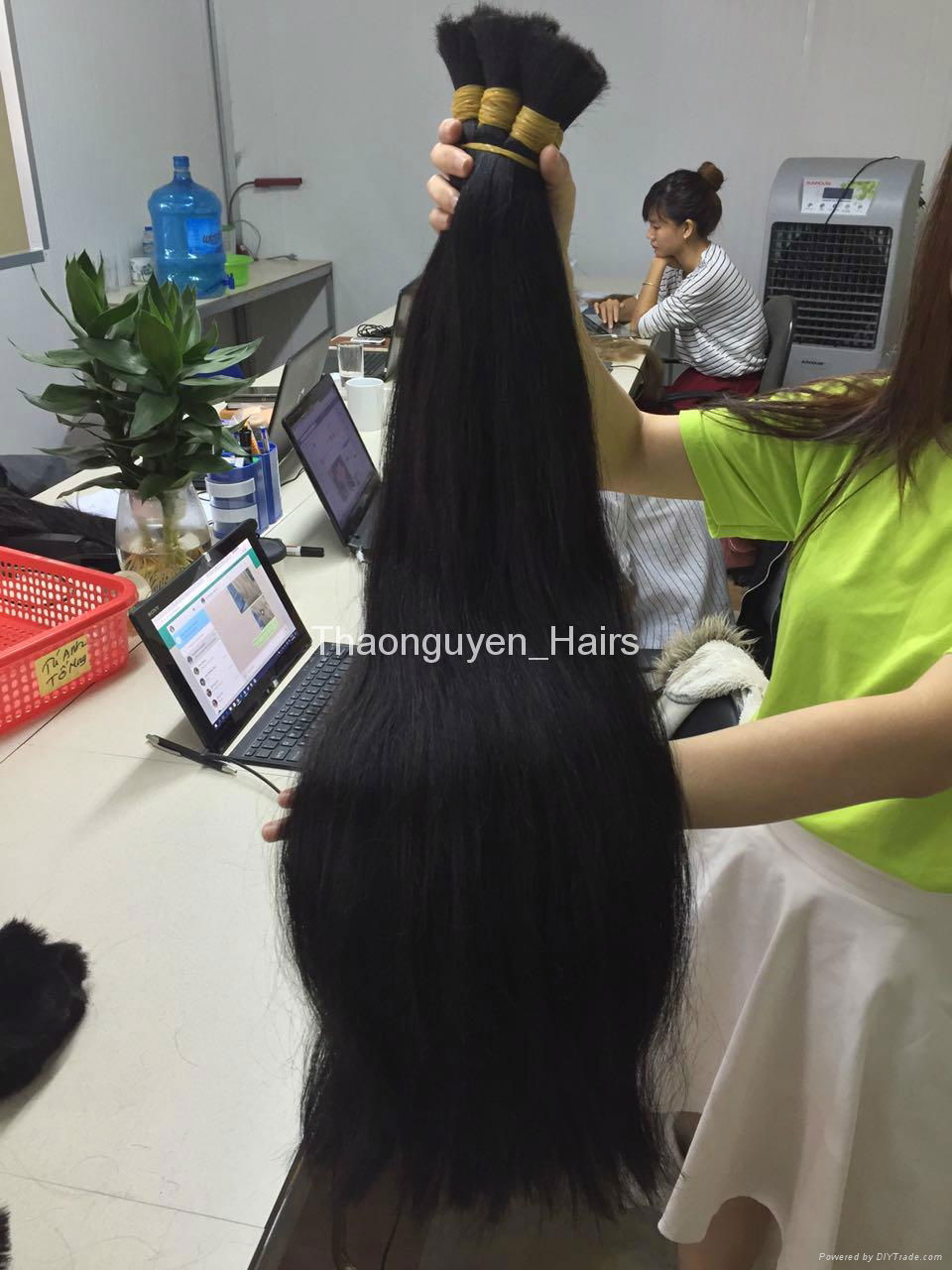 Remy bulk Vietnamese hair best selling 4