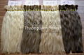 Best quality Vietnamese remy color human