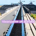 Heat resistant conveyor belt