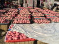 fresh fuji apples 2