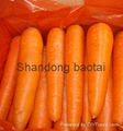 carrots