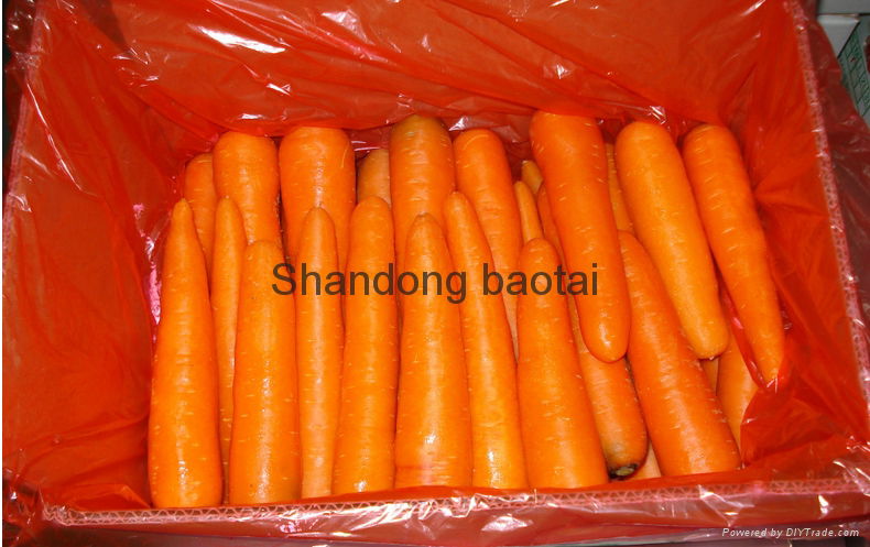 carrots 3