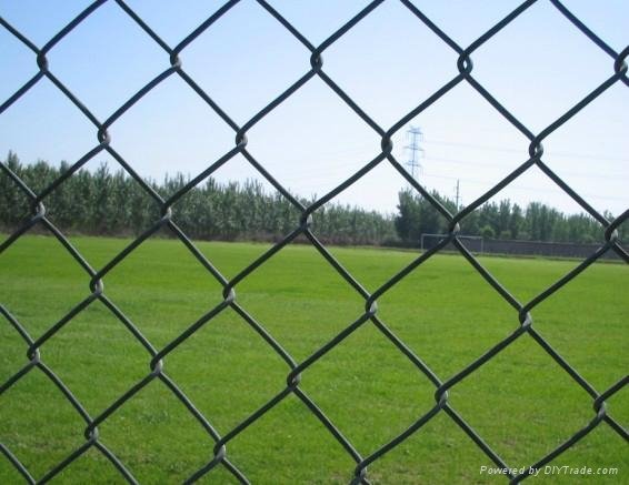  Chain link mesh for fencing 2