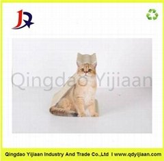 Low price toy cat scratch pad factory price list