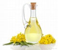 Rapeseed Oil 1