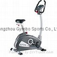 KETTLER Axos Cycle P Upright Bike