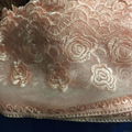 New Design 12cm Width Stock Rose Embroidery Mesh Lace For Garments & Home Textil