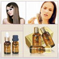 Hair Growth Essential Oil 1