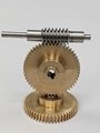 Brass worm and worm gear set 2