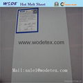 Hot melt sheet 2