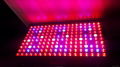 1200W 1000W LED Grow Light High Par Value LED Plant Light Medical Hemp Plant LED