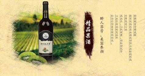 Best price wholesale chinese Classic kiwi fruit wine healthy beauty 750ml 12%v 5