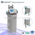 2017 popular Cryolipolysis slimming Beauty machine for freezing fat cell with CE 3