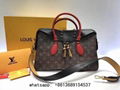 Louis Vuittion handbag     uileries