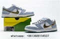      SB dunk chunky dunky shoes dunk shoes      dunk low shoes  8