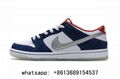      SB dunk chunky dunky shoes dunk shoes      dunk low shoes  20