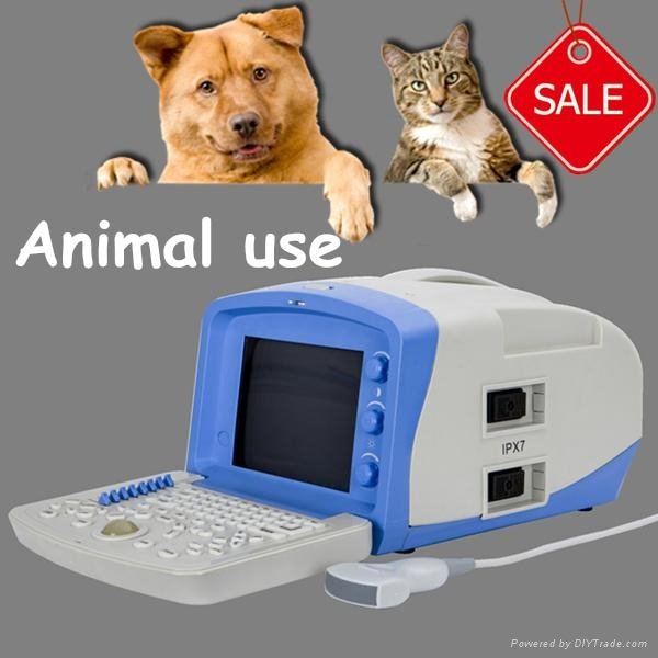 Animal Portable Ultrasound ECHO Scanner