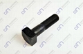 Square Head Bolts 2