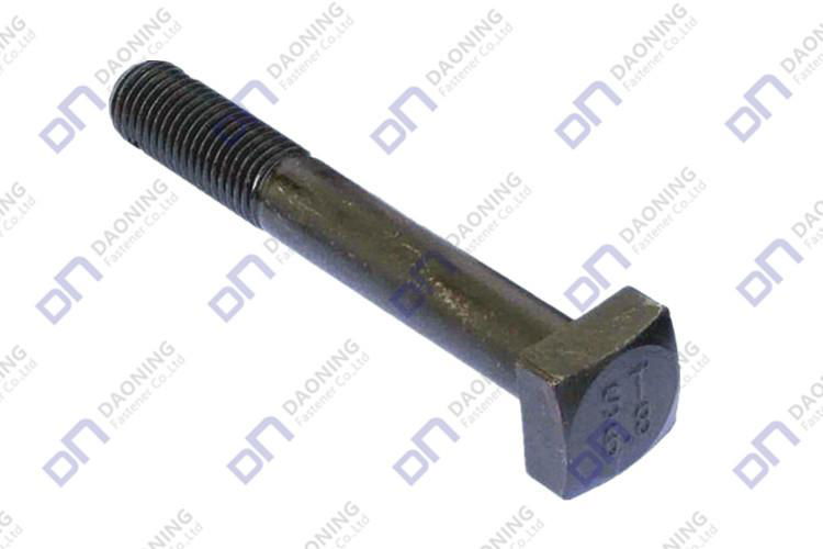 Square Head Bolts 3