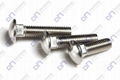 ANSI/ASME B18.5;DIN603; Round head