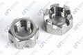 Hex Slotted Nuts