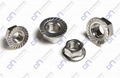 Hex Flange Nuts