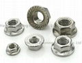 Hex Flange Nuts 2